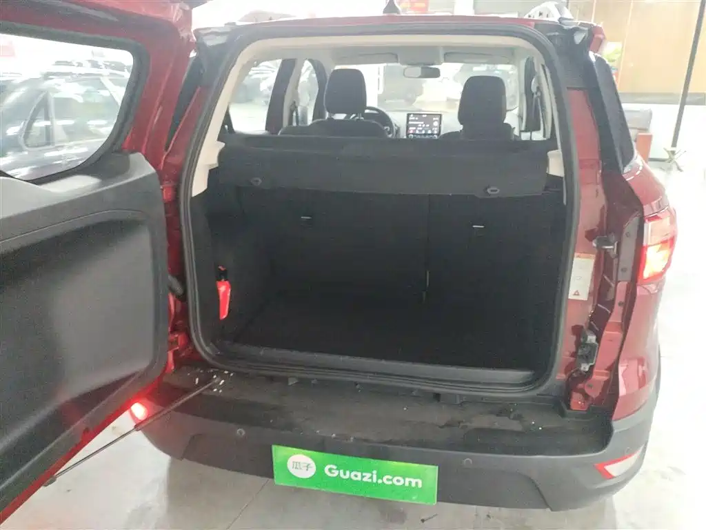 Ford Ecosport 2018 — фото 19