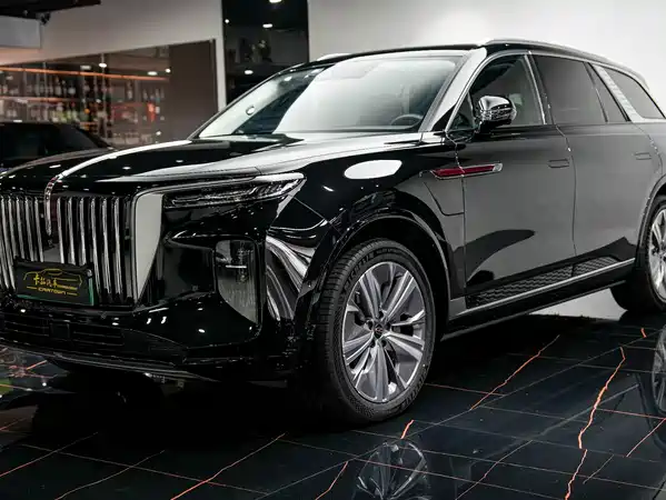 Hongqi E-HS9 2021