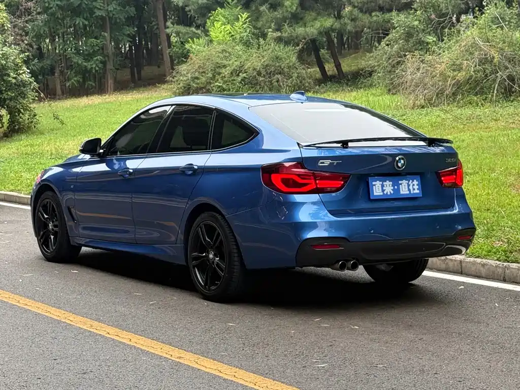 BMW 3 Series GT 2019 — фото 16