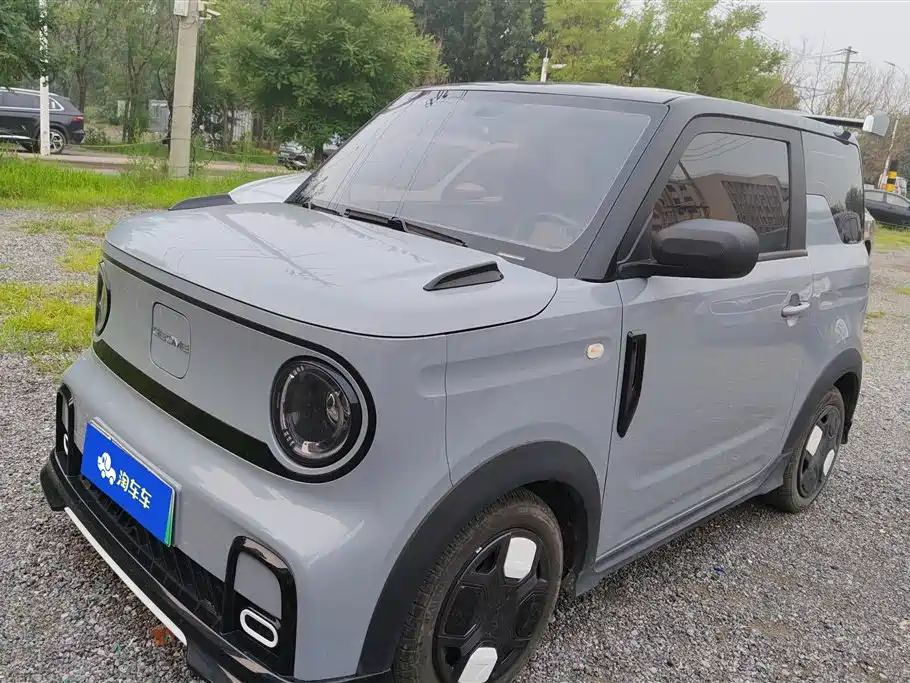 Galaxy Panda 2024