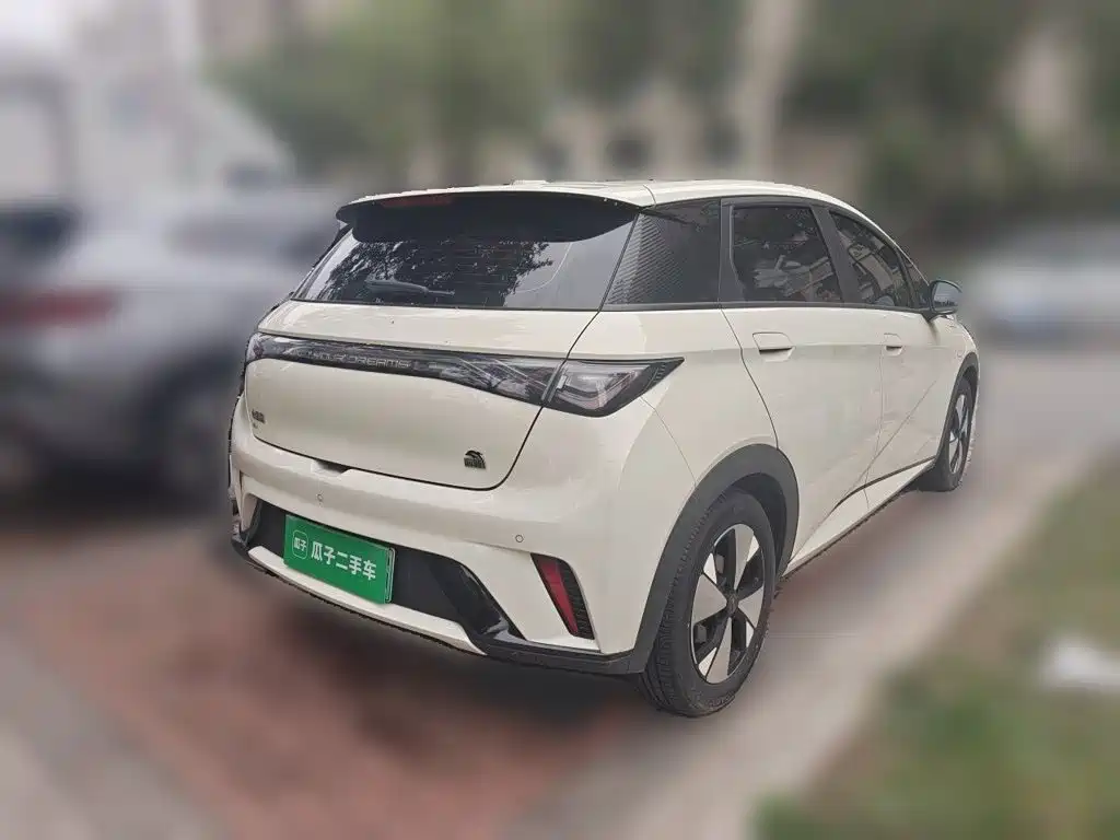 BYD Dolphin 2023 — фото 4