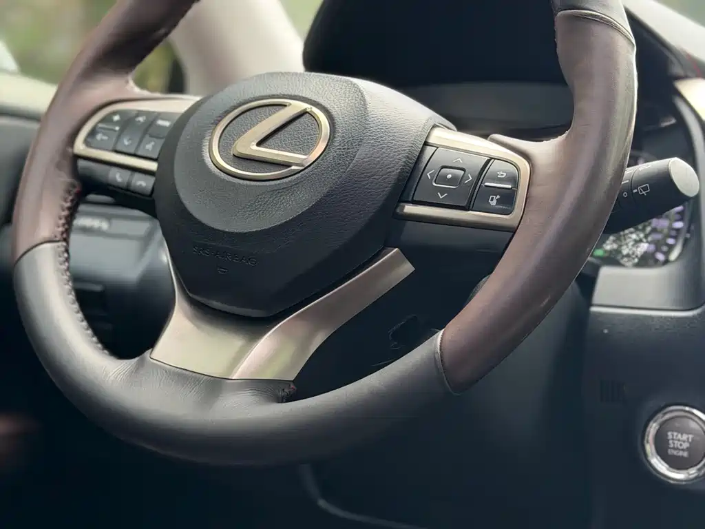 Lexus RX 2017 — фото 10