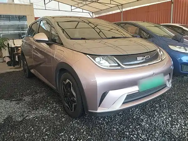 BYD Dolphin 2022