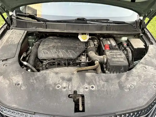 Dongfeng Popular Yacht 2024