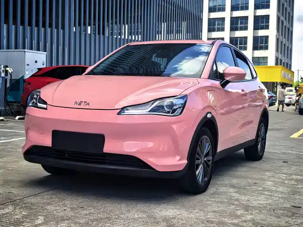 Neta V 2021