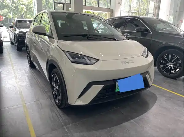 BYD Seagull 2025