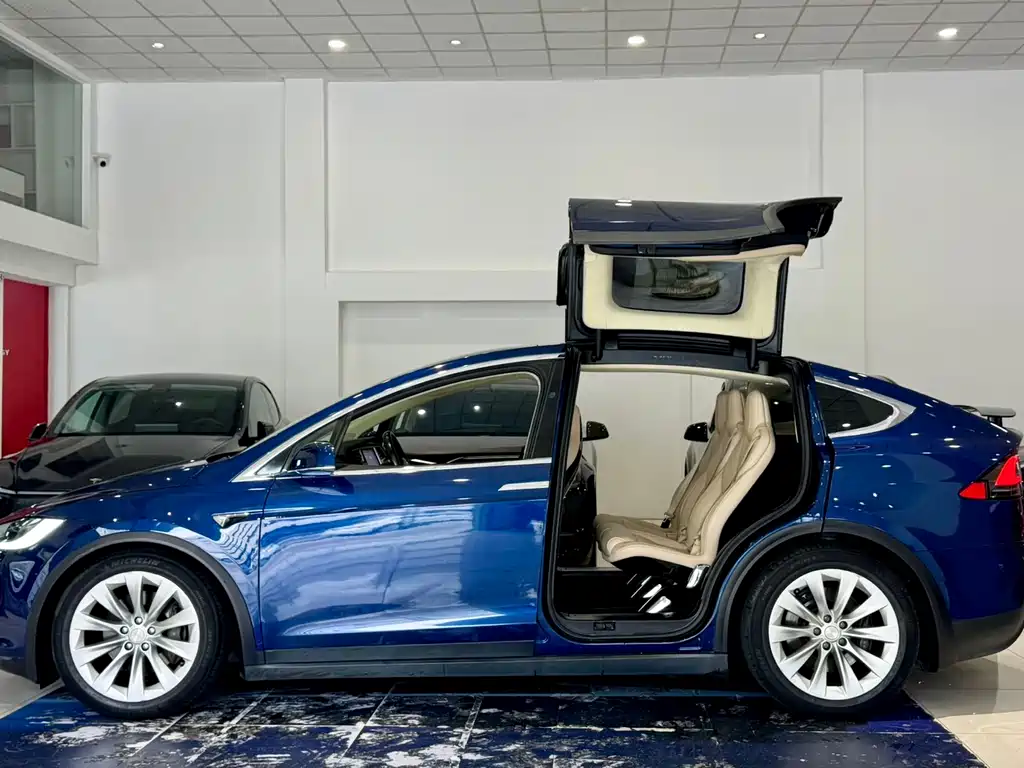 Tesla Model X 2017 — фото 9