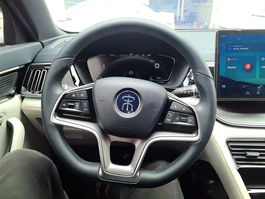 BYD PLUS New Energy 2022 — фото 3