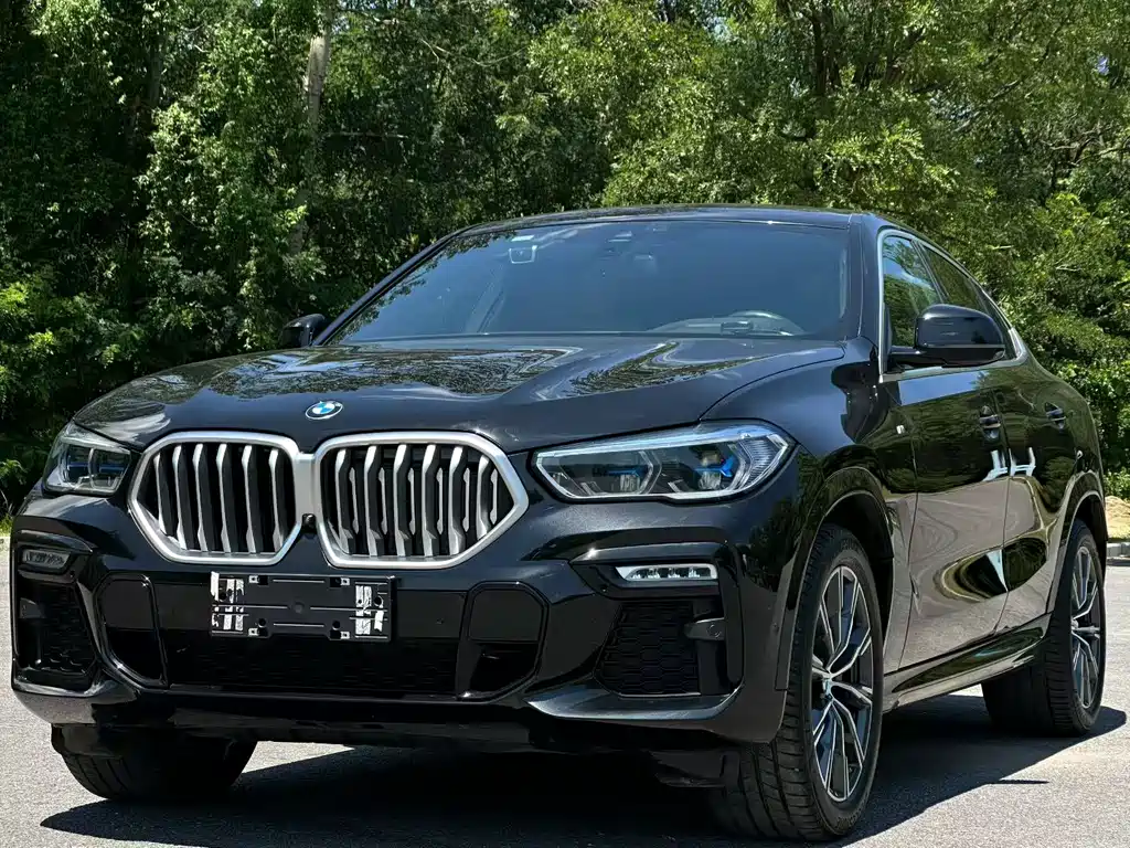 BMW X6 2021 — фото 1