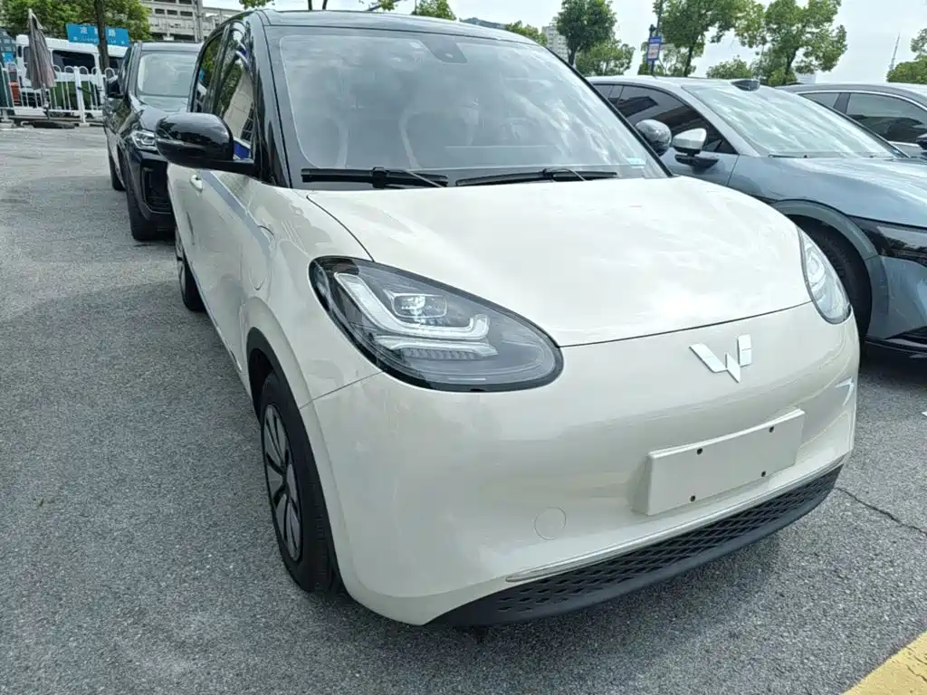 Wuling Bingo 2023