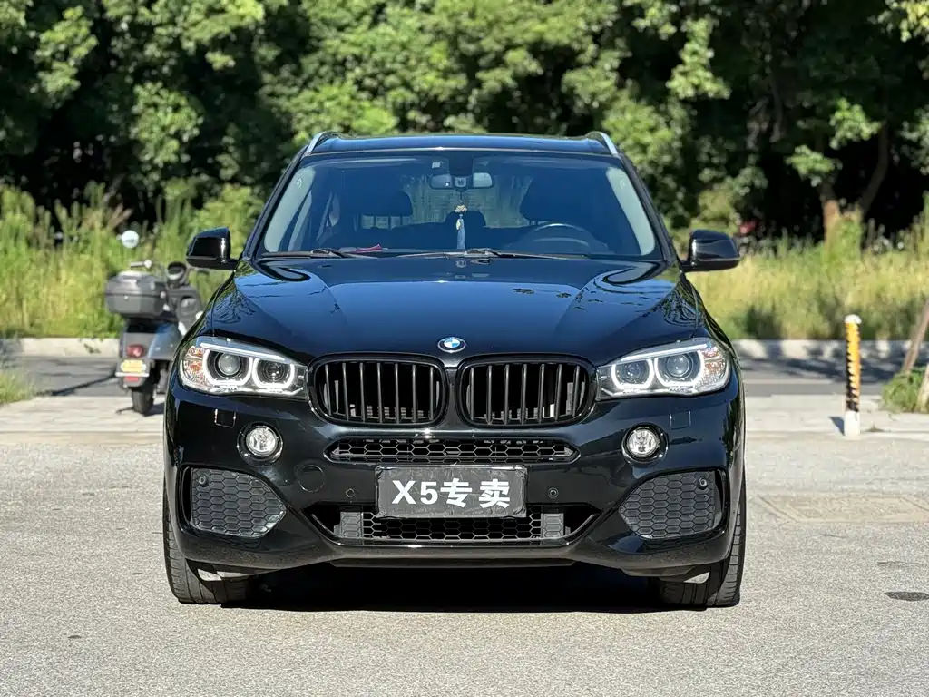 BMW X5 2017 — фото 2