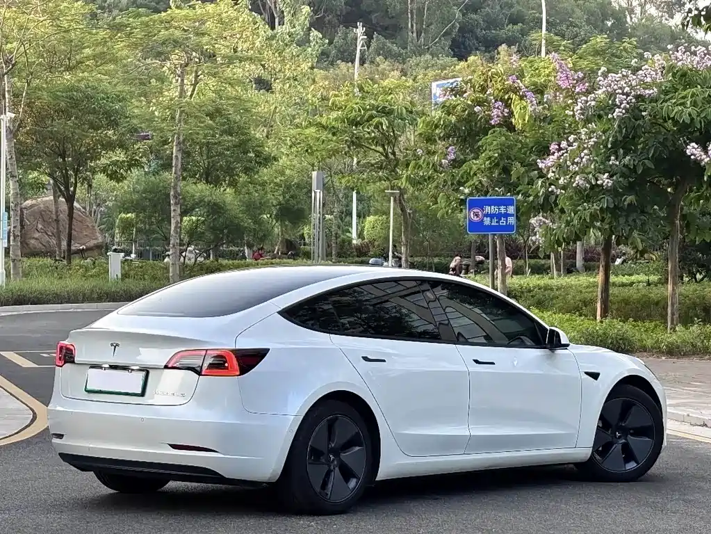 Tesla Model 3 2021 — фото 18