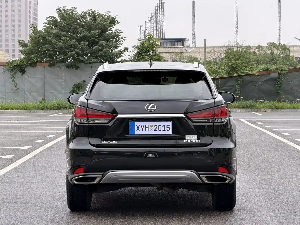 Lexus RX 2020 — фото 17