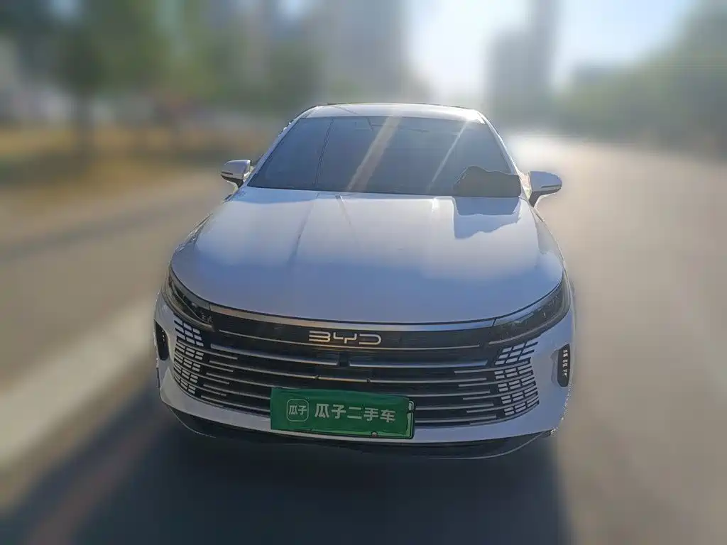BYD Destroyer 05 2023 — фото 2