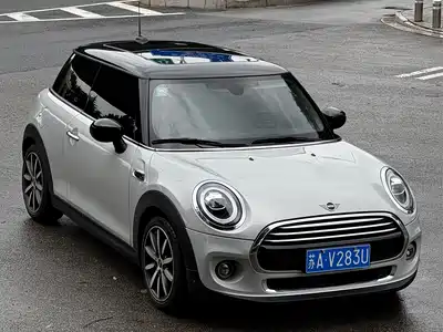 MINI MINI 2020