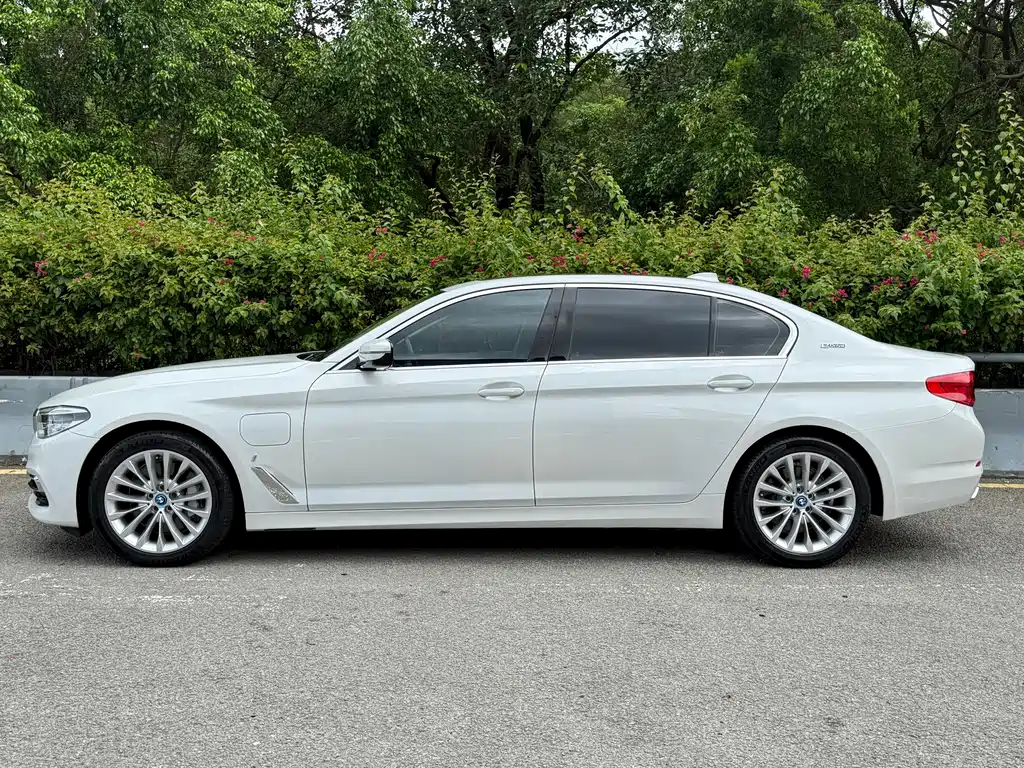 BMW 5 Series New Energy 2019