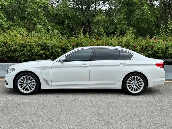 BMW 5 Series New Energy 2019