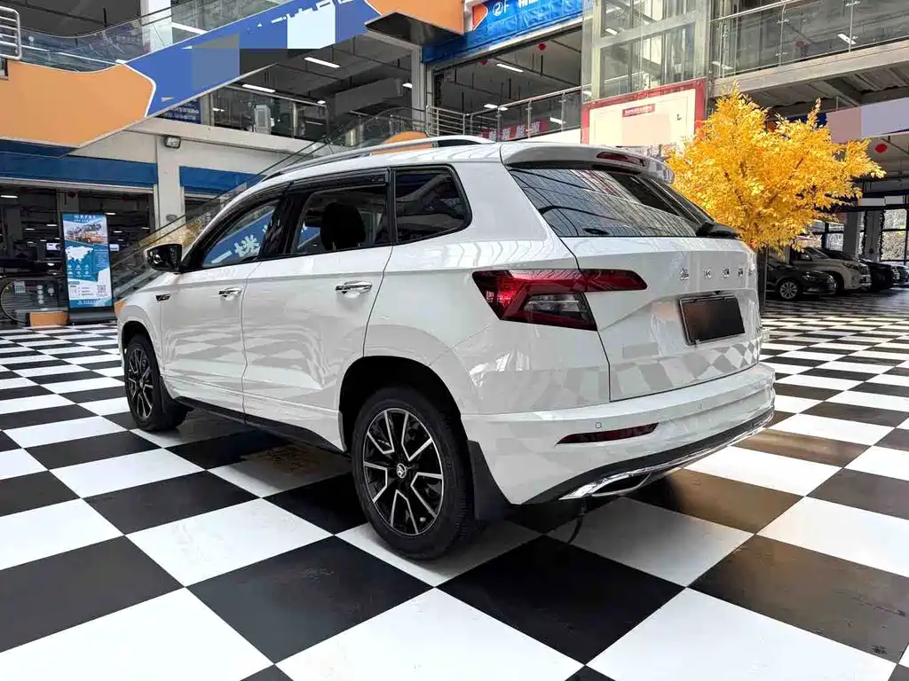 Skoda Karoq 2022 — фото 17