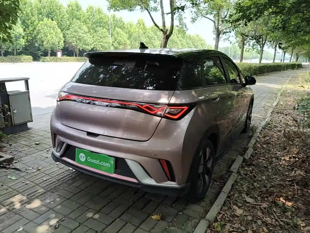 BYD Dolphin 2022