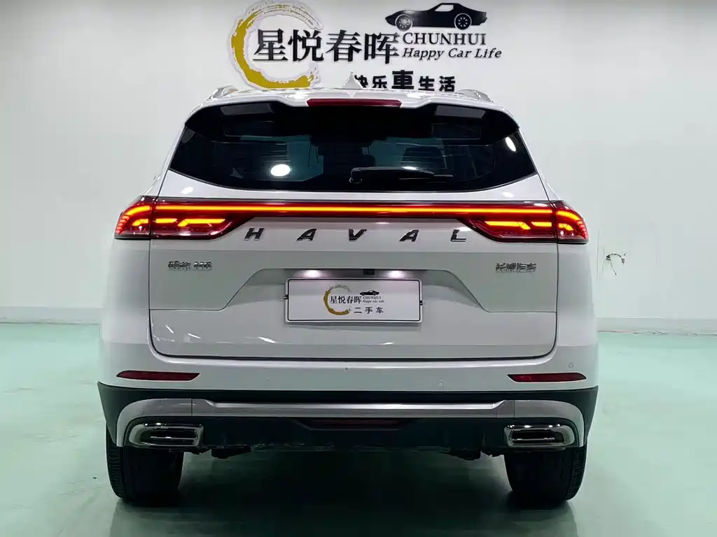 Haval H6 2021 — фото 8