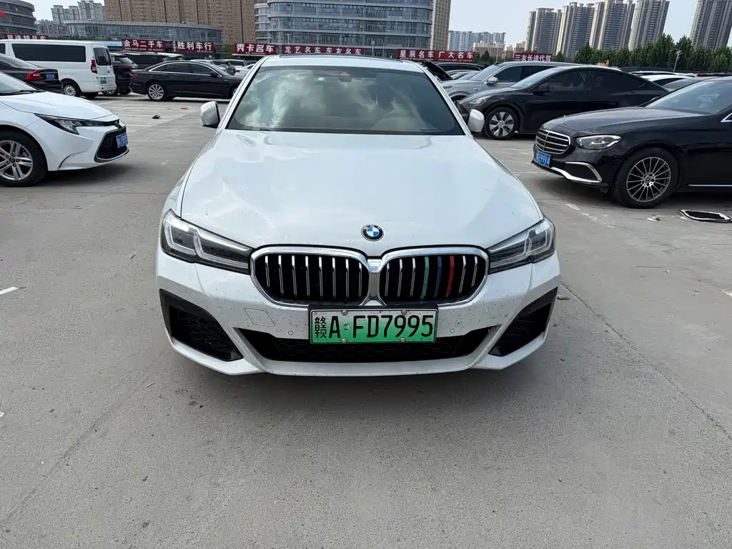 BMW 5 Series New Energy 2021