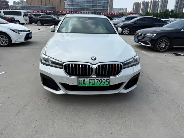 BMW 5 Series New Energy 2021