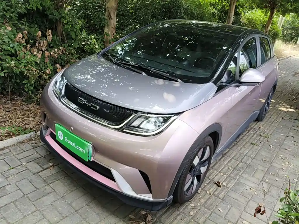 BYD Dolphin 2022