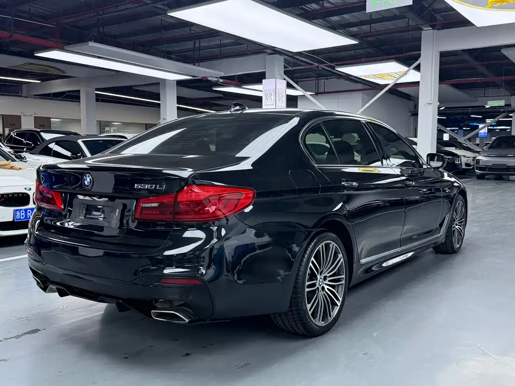 BMW 5 Series 2018 — фото 18