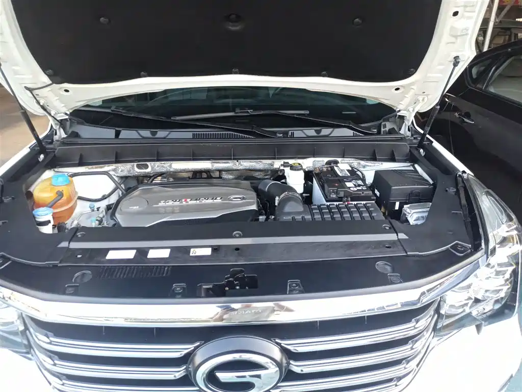 GAC Motor Trumpchi GS8 2019 — фото 16