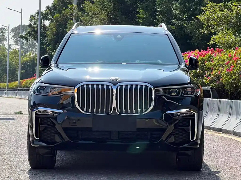 BMW X7 2020 — фото 2
