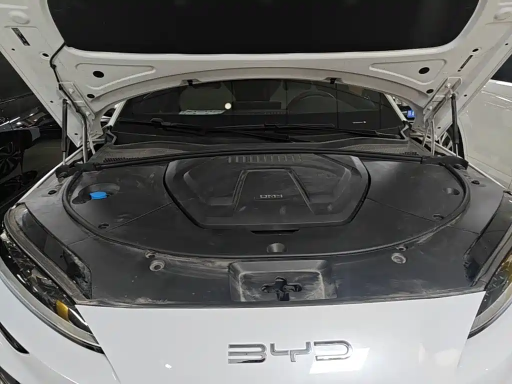 BYD PLUS New Energy 2024 — фото 20