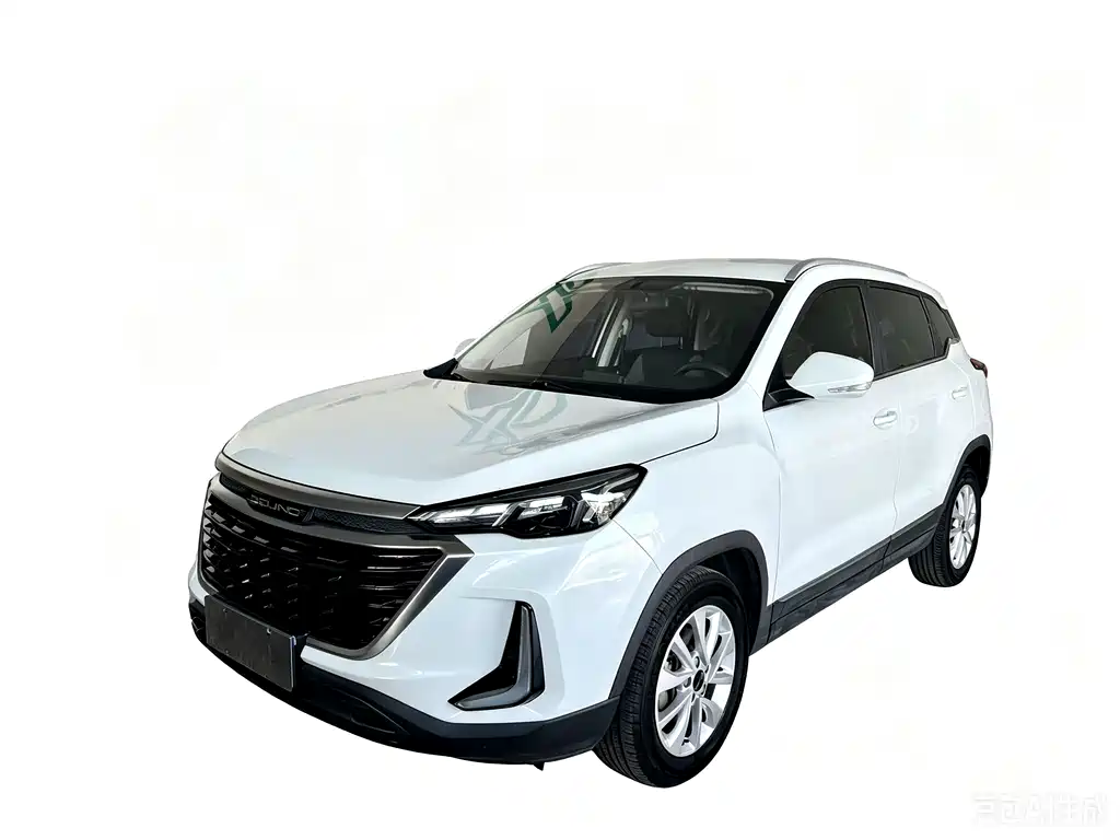 BAIC X3 2019