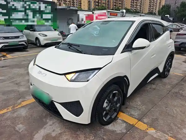 BYD Seagull 2025