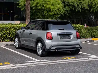 MINI MINI 2022