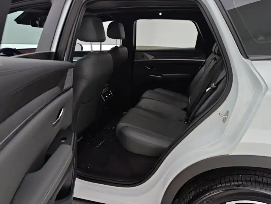 BYD Song Pro New Energy 2026 — фото 11