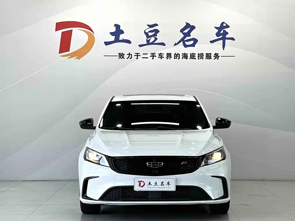 Geely Binrui 2021