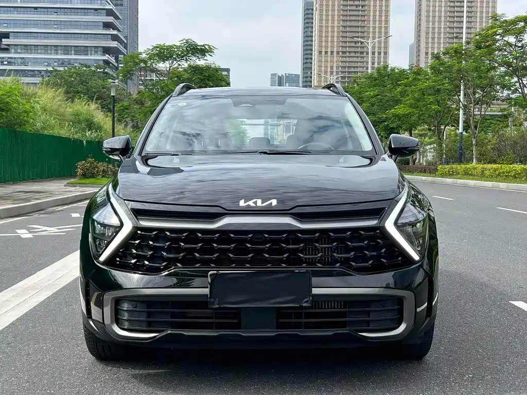 Kia Lion Platinum Expands The Boundary 2024 — фото 2