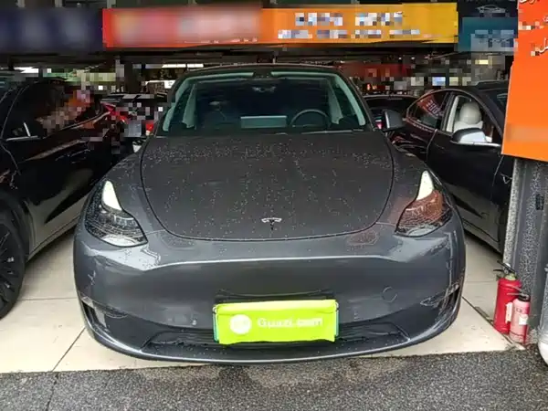 Tesla Model Y 2021