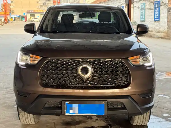 Great Wall Poer 2021