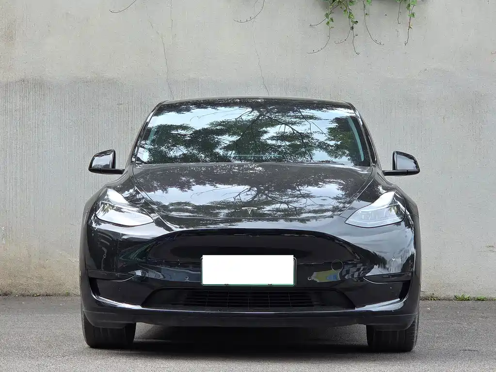 Tesla Model Y 2023 — фото 2