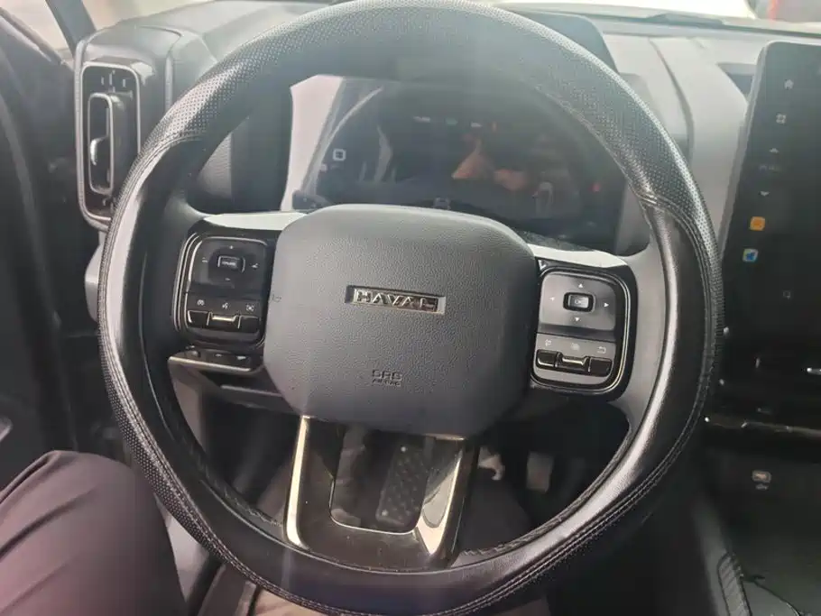 Haval Raptors New Energy 2024 — фото 15