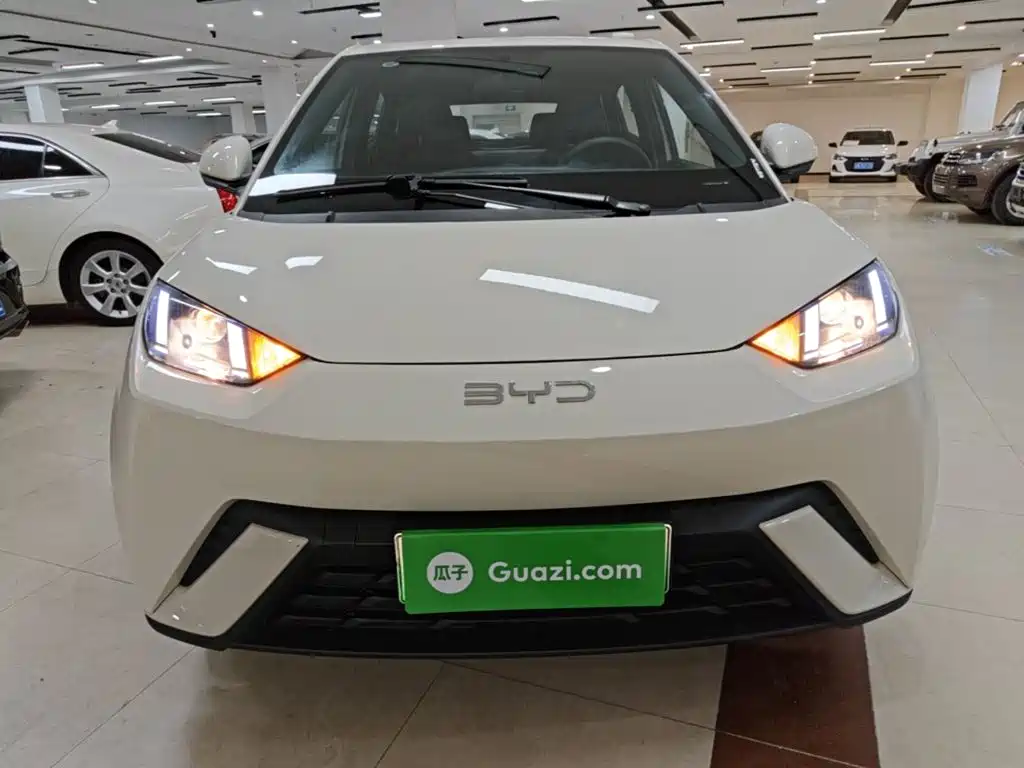 BYD Seagull 2024