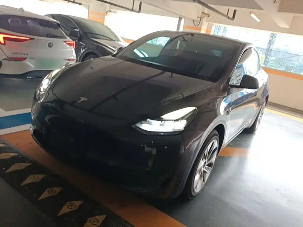 Tesla Model Y 2021 — фото 1