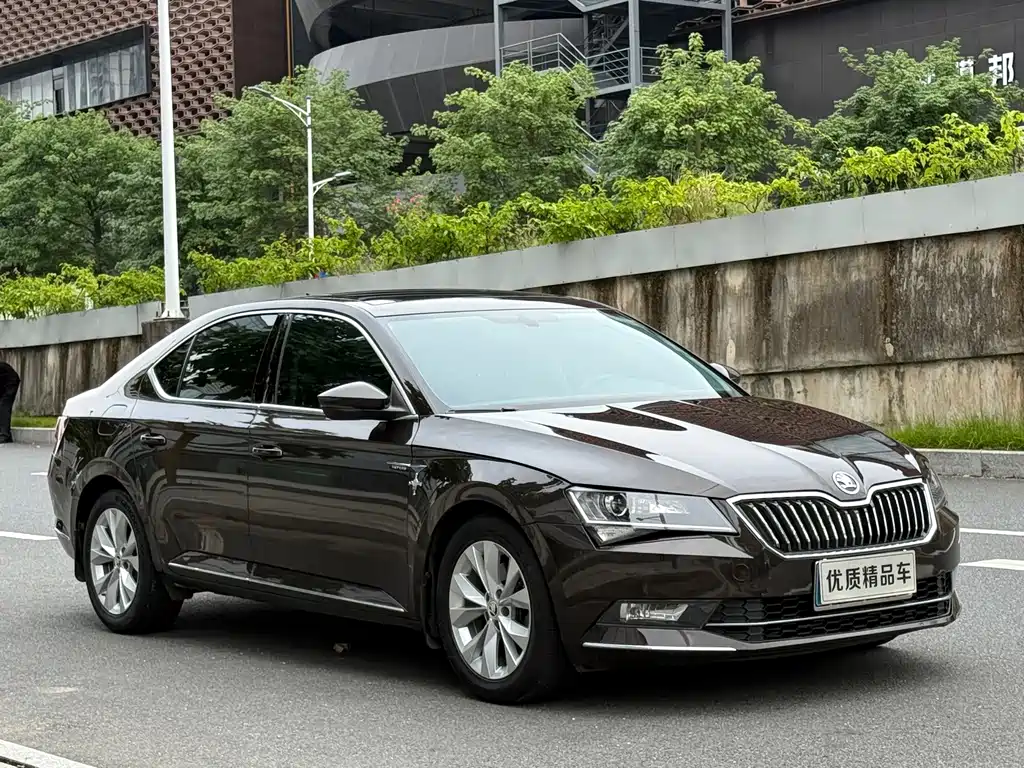 Skoda Speedy 2017