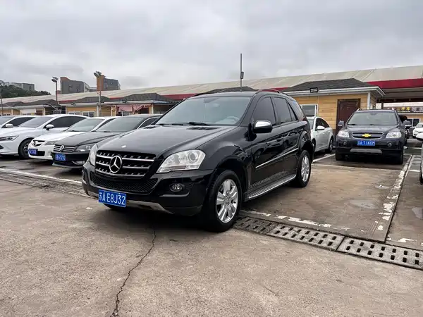 Mercedes-Benz M-Class 2010