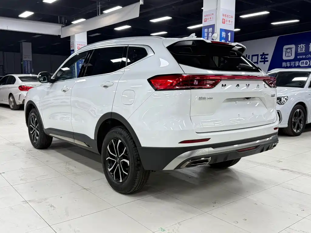 Haval H6 2021 — фото 7
