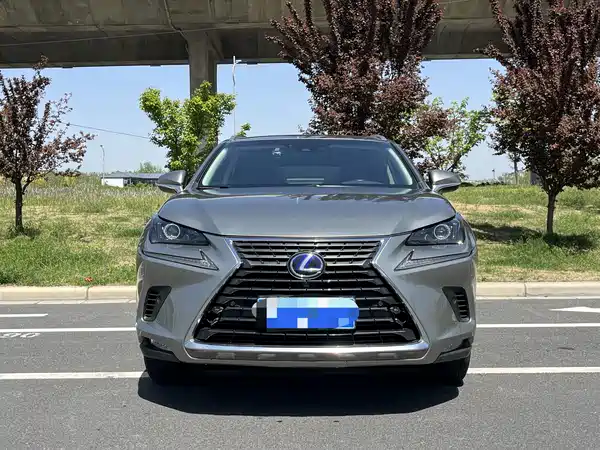 Lexus NX 2020