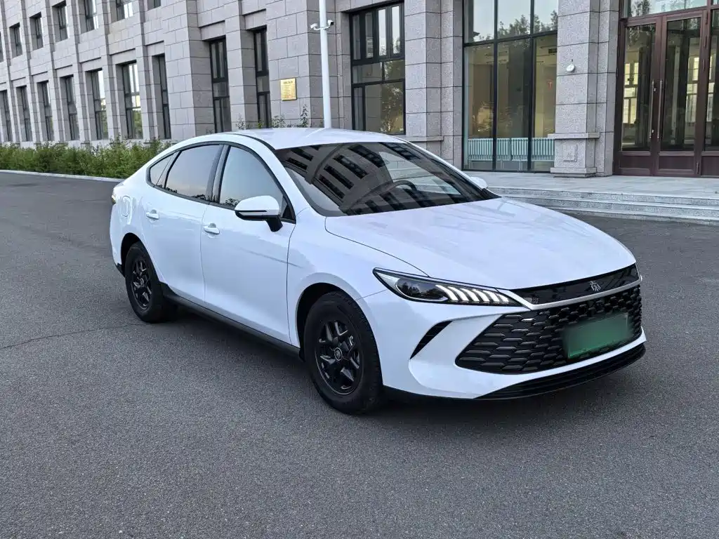 BYD Qin PLUS 2025 — фото 25