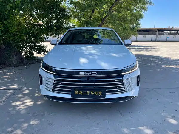BYD Destroyer 05 2024