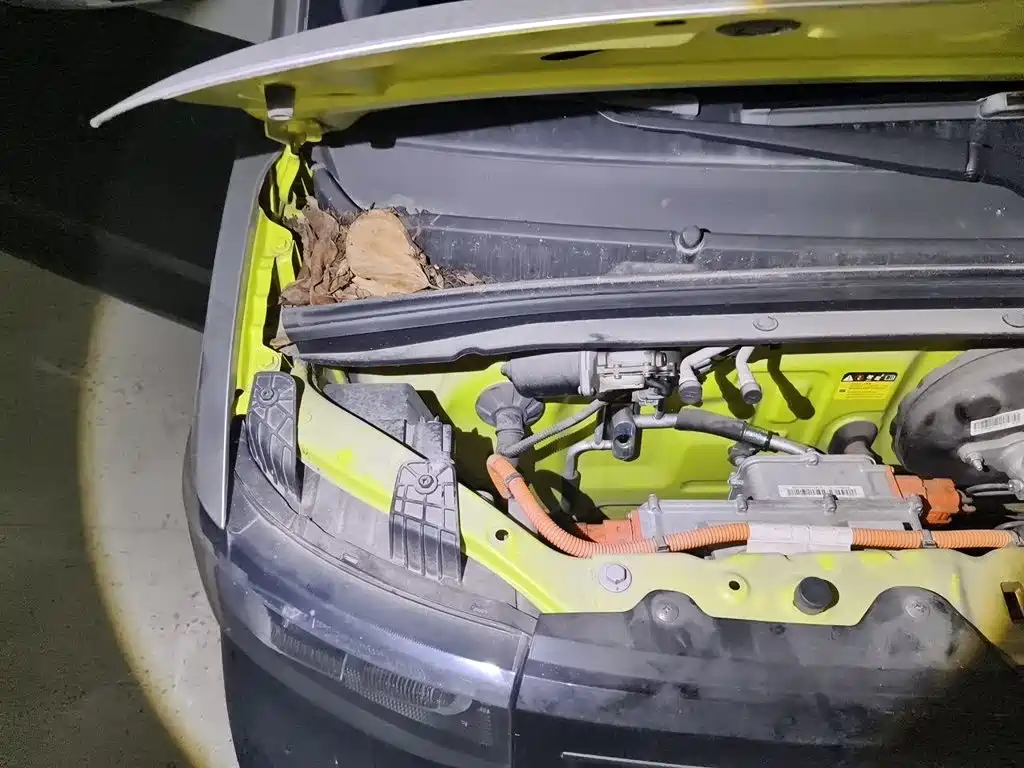 Wuling MINIEV 2023 — фото 23